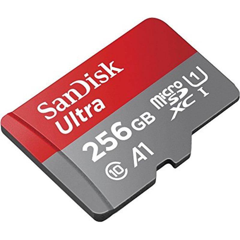 La grande vitesse 256 Go de carte mémoire Micro SD de classe 10 - Chine  26Go Carte Micro SD et carte mémoire de 256 Go prix