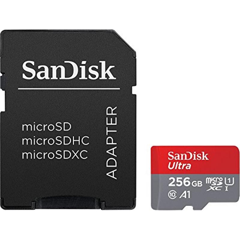 Carte Micro SD 256 Go avec Adaptateur Carte mémoire Haute Vitesse